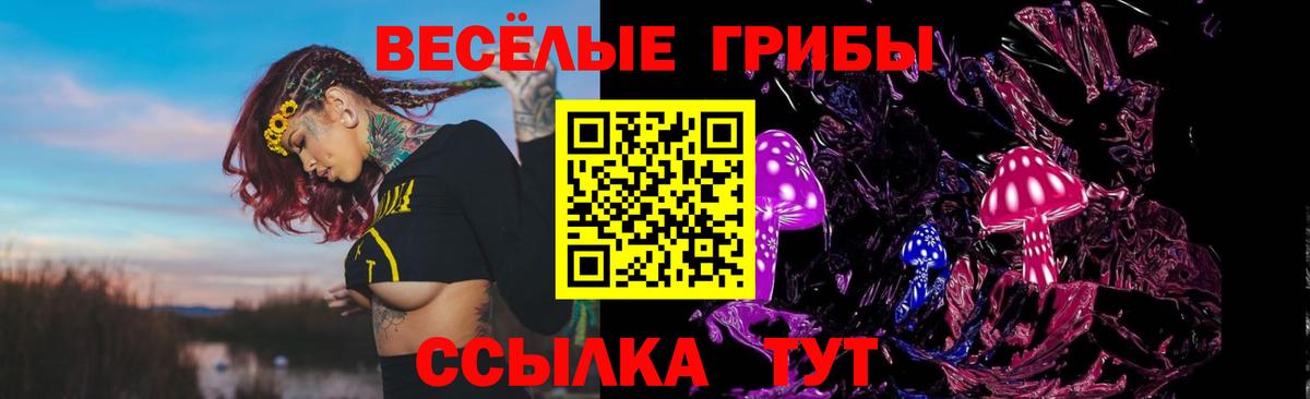 Галлюциногенные грибы мухоморы Ковров