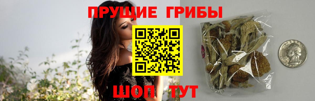 Галлюциногенные грибы Psilocybine cubensis  Вход с VPN  Ковров  Галлюциногенные грибы Psilocybe 